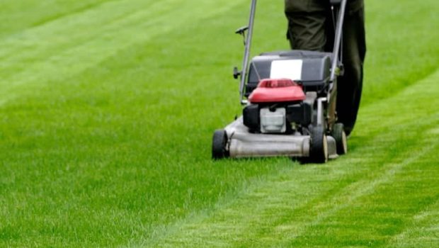 Lawn-Mowing